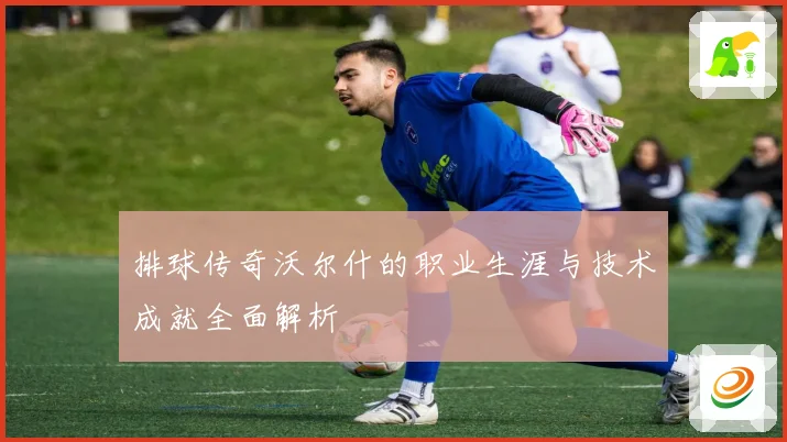 排球传奇沃尔什的职业生涯与技术成就全面解析