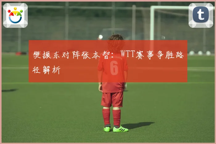 樊振东对阵张本智：WTT赛事争胜路径解析