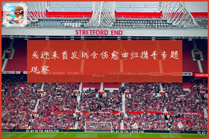 或迎来首发机会伤愈回归携手专题观察