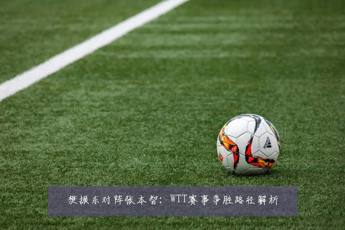 樊振东对阵张本智:WTT赛事争胜路径解析