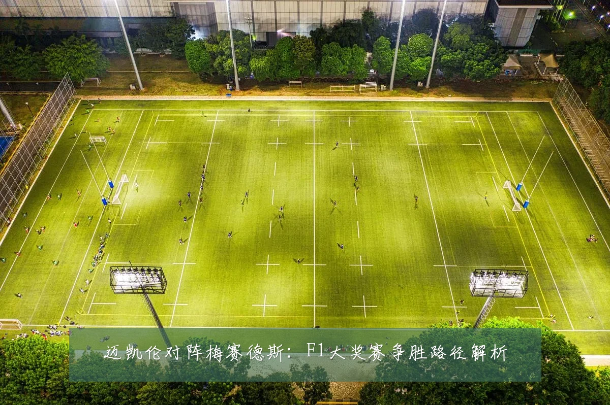 迈凯伦对阵梅赛德斯：F1大奖赛争胜路径解析
